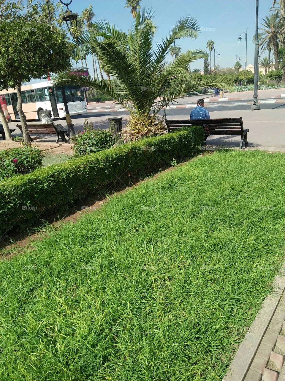 Nice and calm  moment in the park.