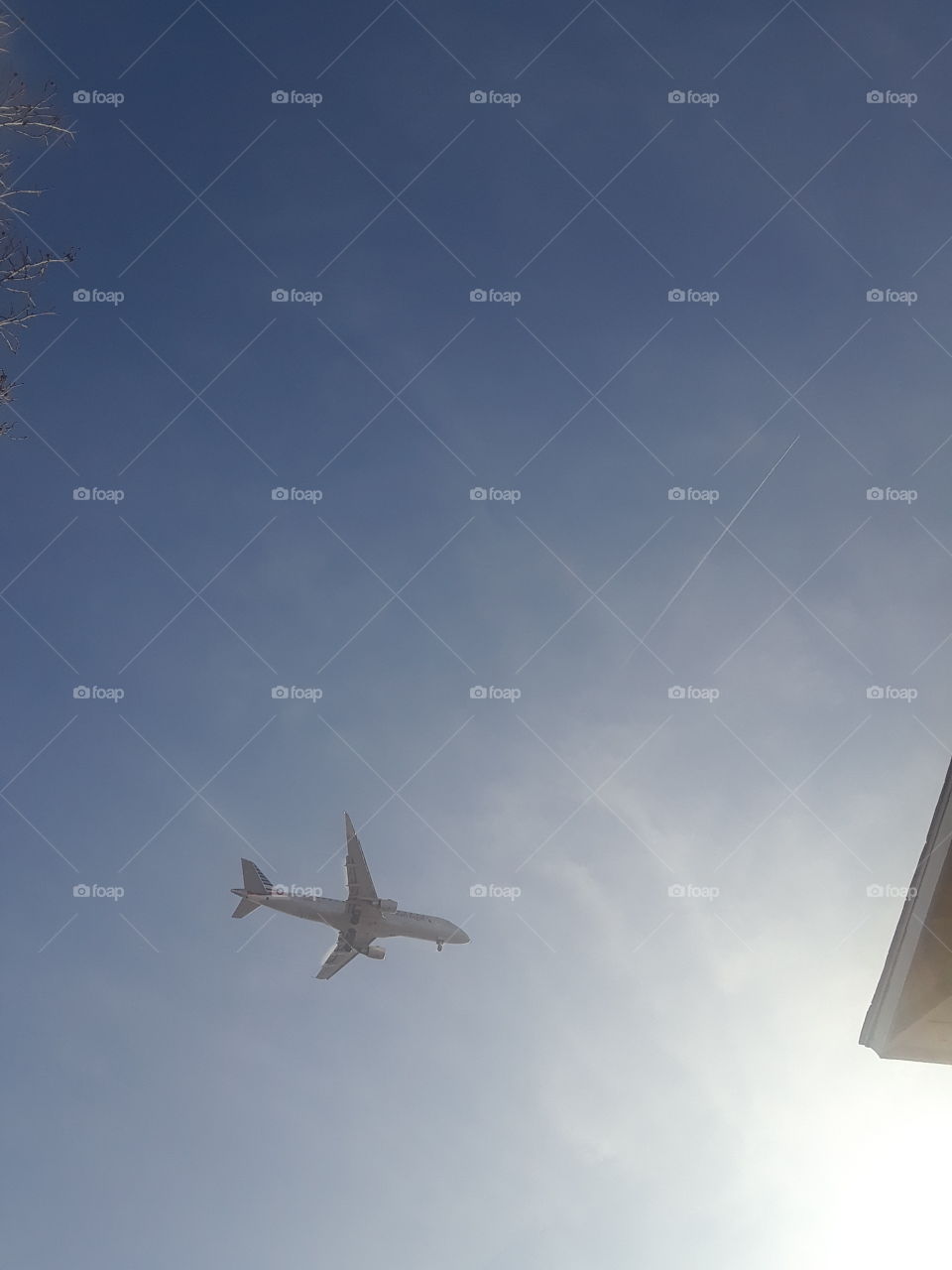 a plane leaving LAX