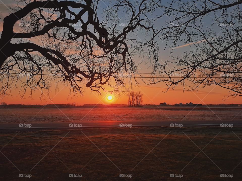 Sunrise in Ohio, a sunrise on a farm, sunrise on an Ohio Farm, frost on the ground during sunrise, sunrise in springtime, trees framing the picture 