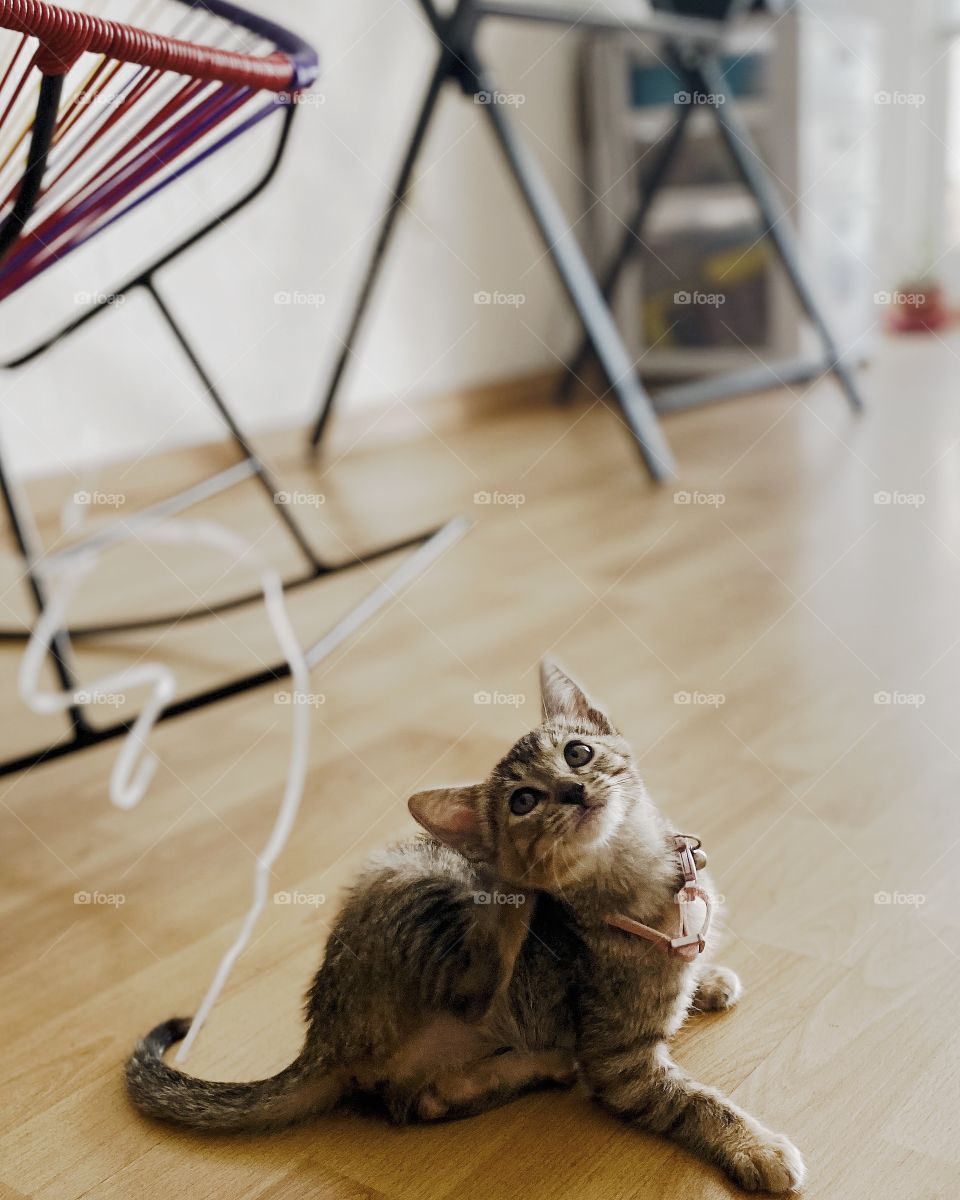 She is just so photogenic