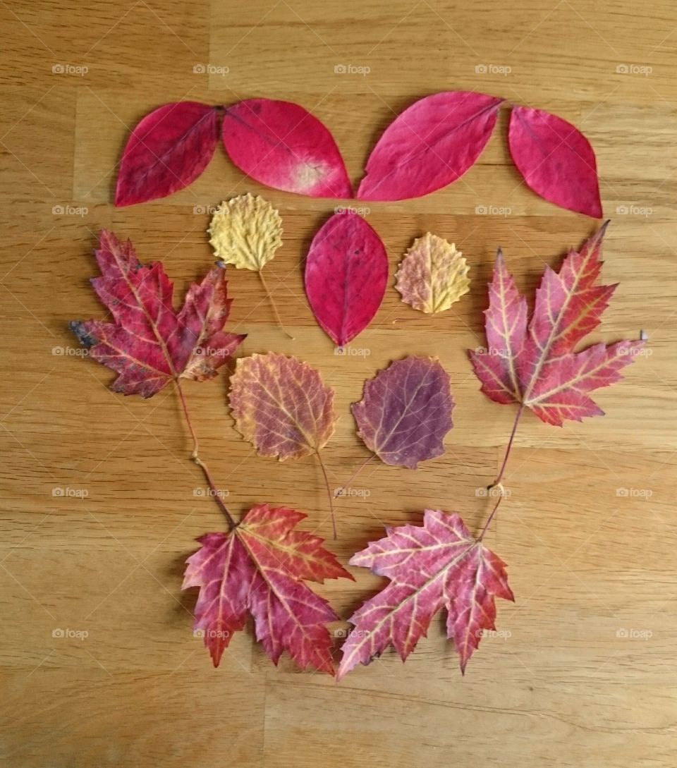 Heart made of fall leaves