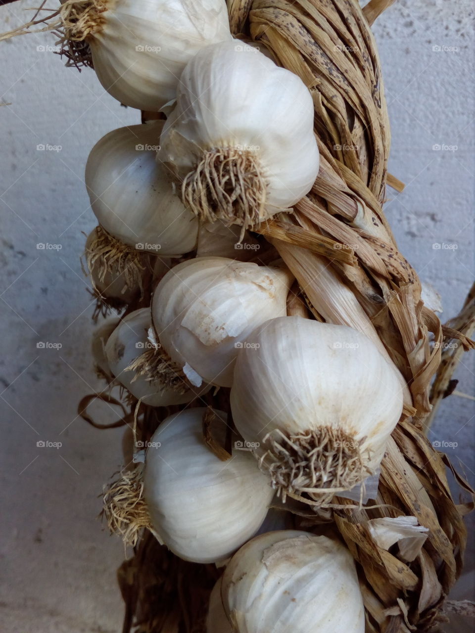 white onion