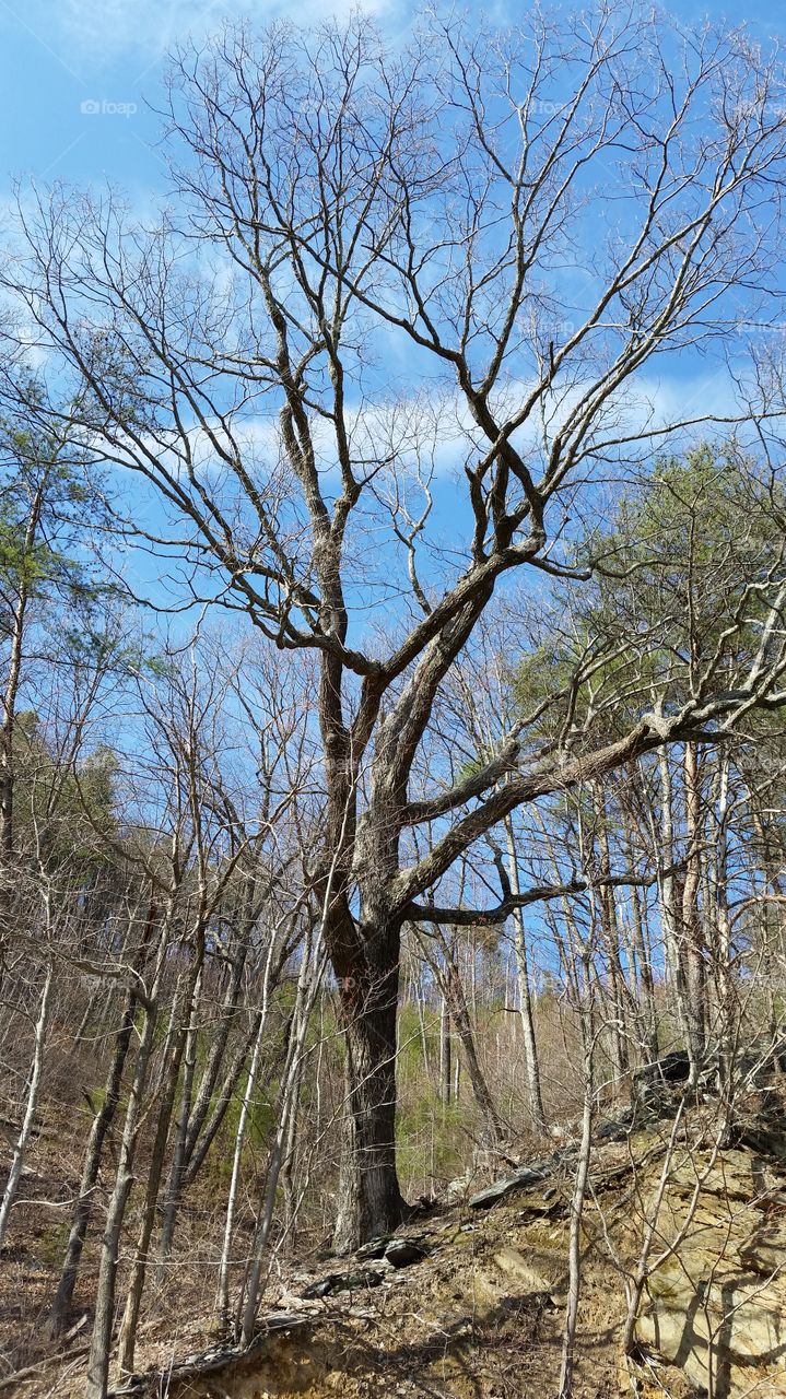 1st trip of the new spring