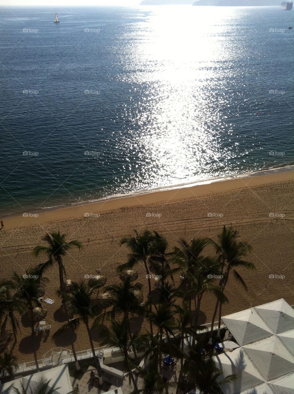 beach sea palm trees peace by Nikita80