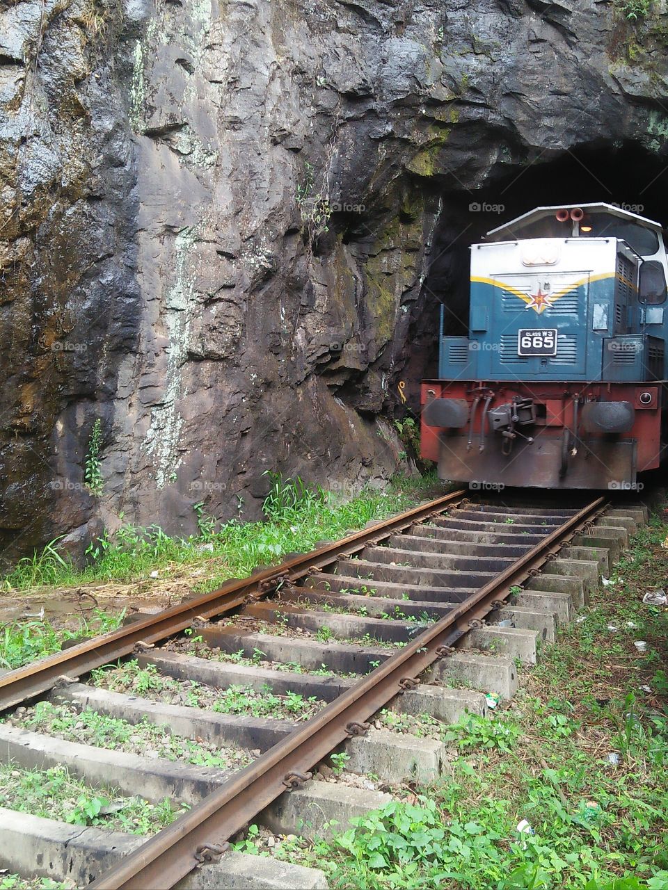 🚊 train & train road