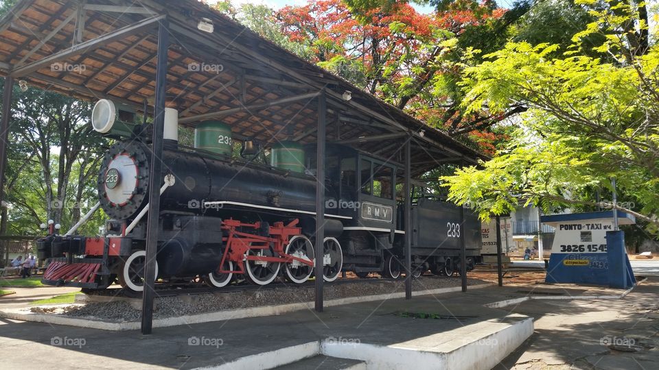 locomotiva  Maria  Fumaça