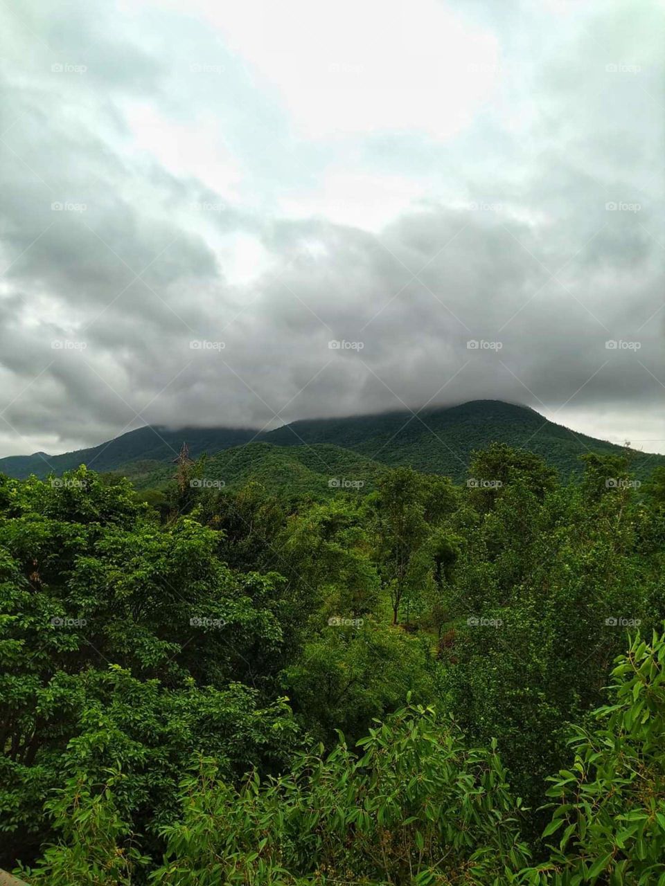 when cloud fall in love with the hills..