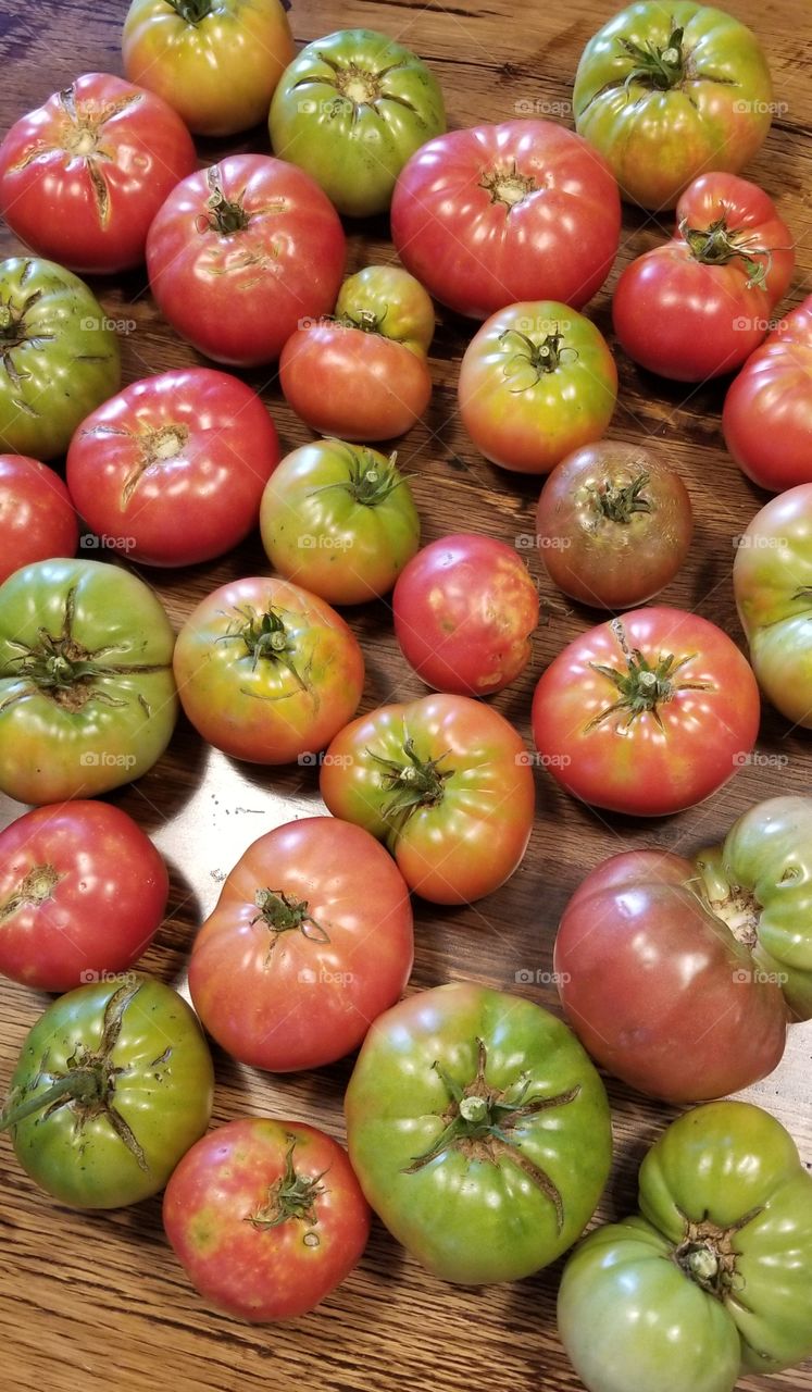 tomatoes from the garden