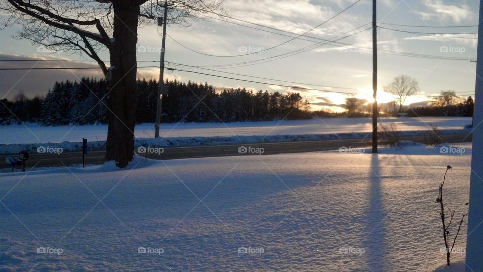 Winter, Snow, Landscape, Cold, Ice