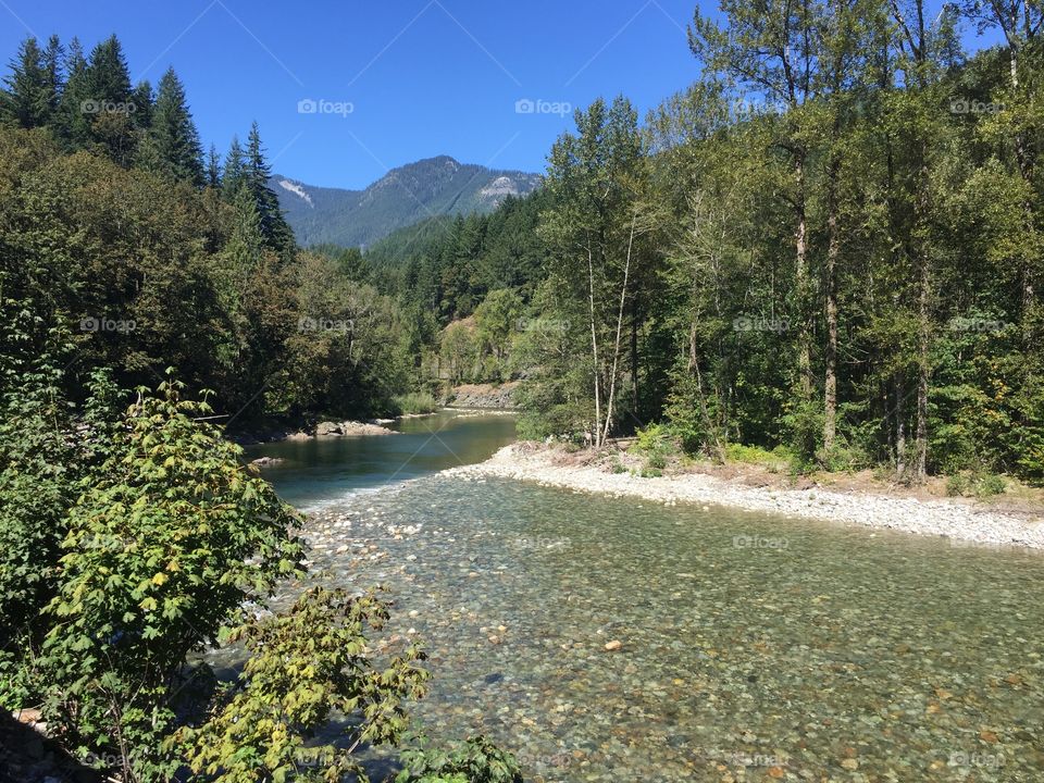 Water, Tree, Landscape, River, Nature