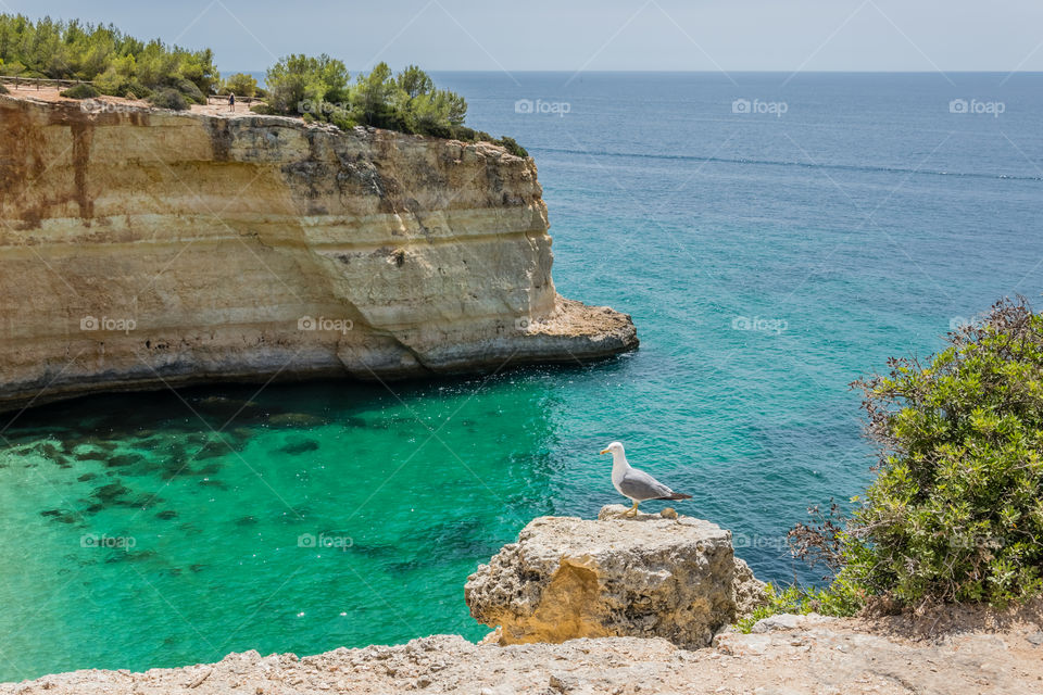 Cliffs at Benagil, Algarve, Portugal