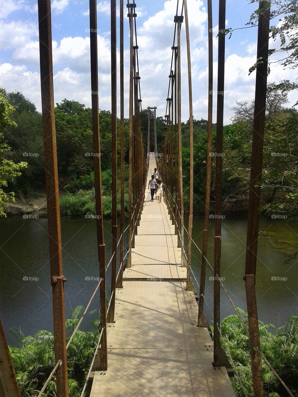Hanging bridge