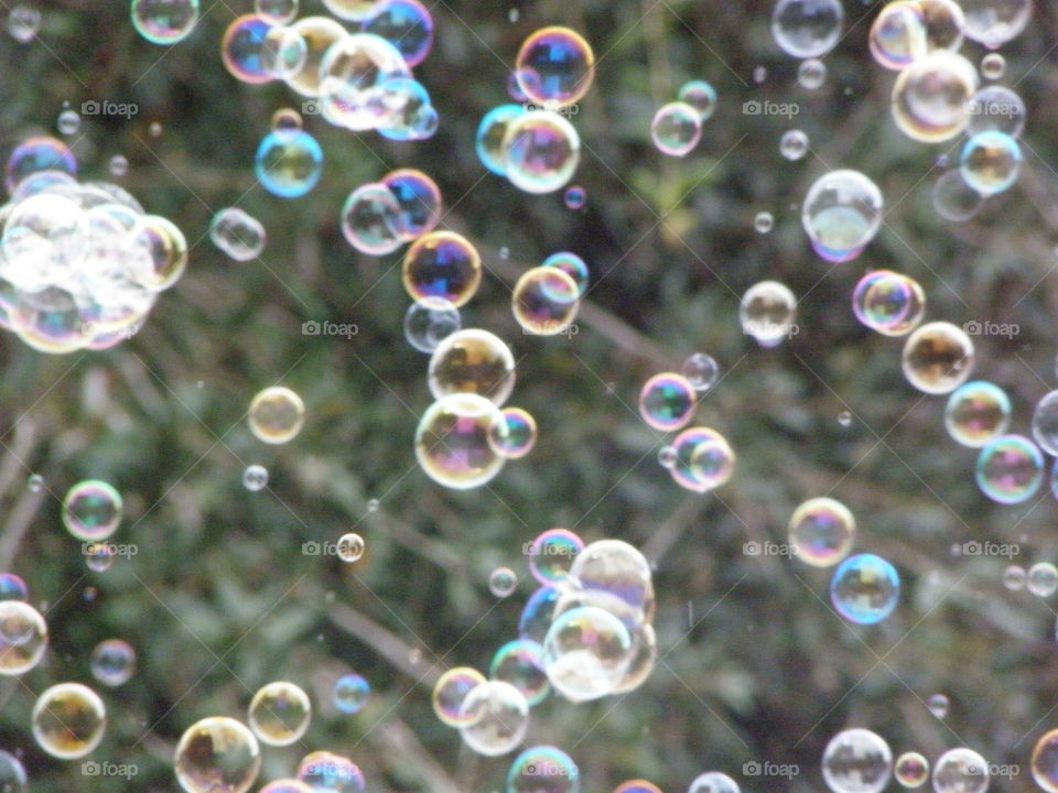 Bubbles