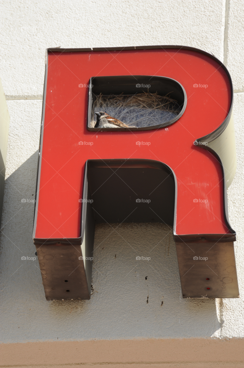 letters bird nest channel by lightanddrawing