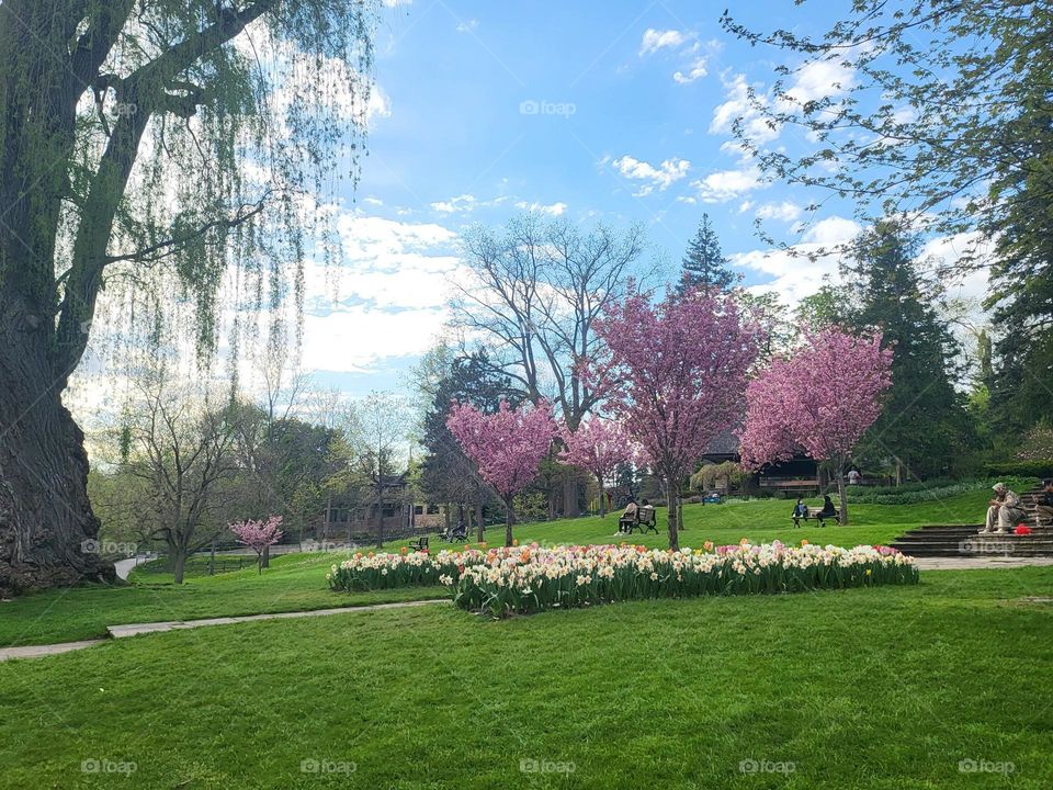 nice pitcher 🌹💐