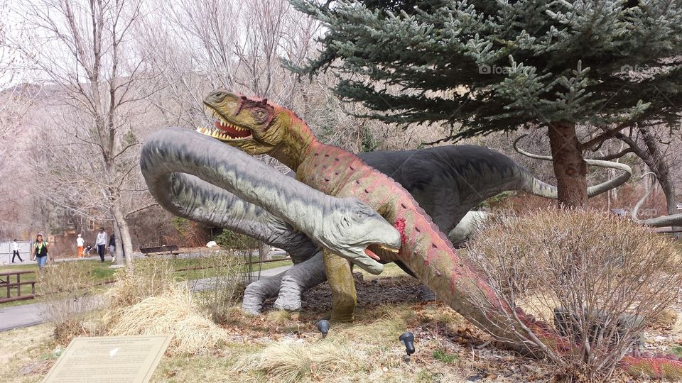 Dinosaur battle