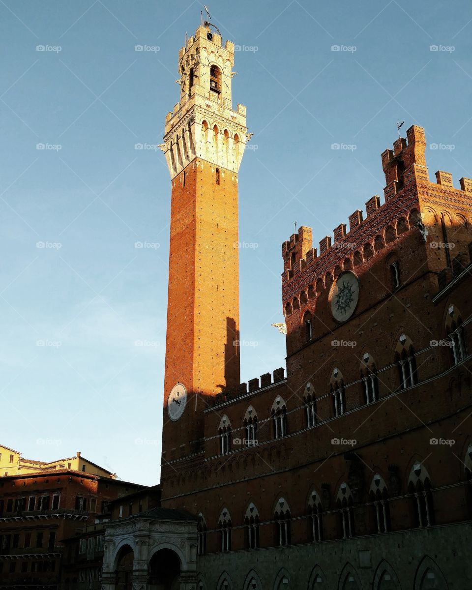 Piazza del Campo and Palazzo Pubblico, Siena, Tuscany, Italy