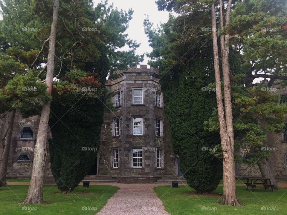 Architecture, No Person, Tree, Building, House