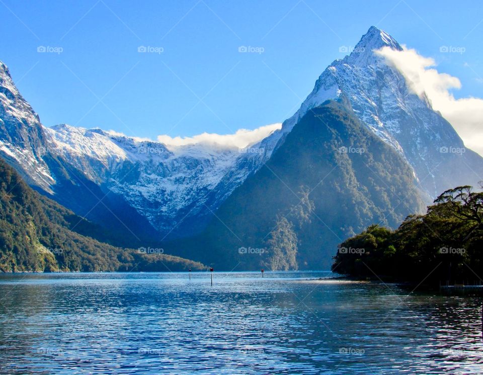 New Zealand’s Milford Sound took my breath away. This fjord contains waterfalls around every corner.