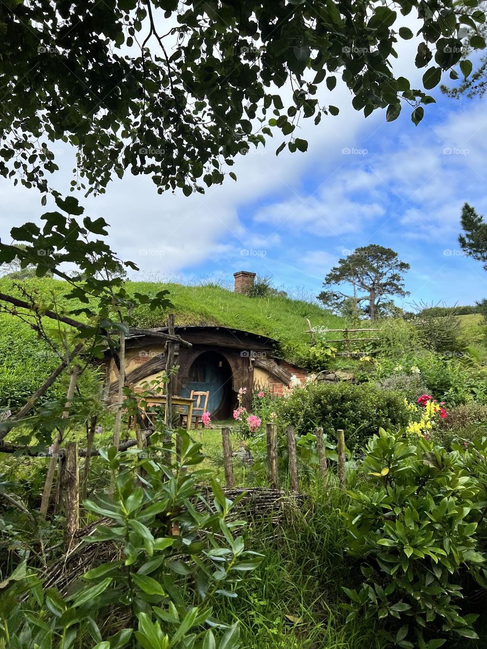 Hobbiton - New Zealand 