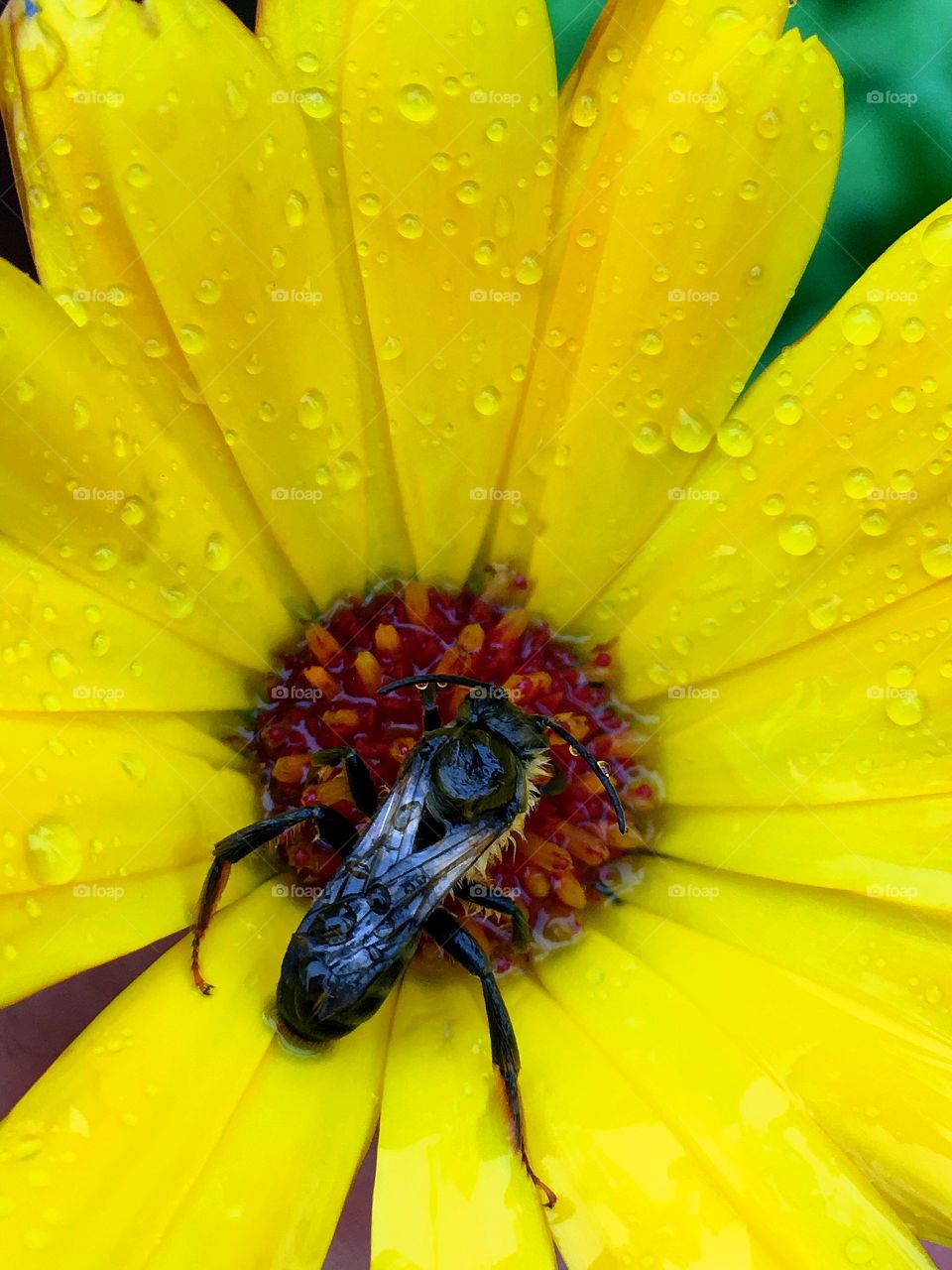 Captured with iPhone 6s Plus 