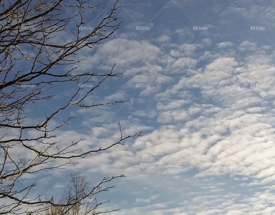 altocumulus clouds in the afternoon