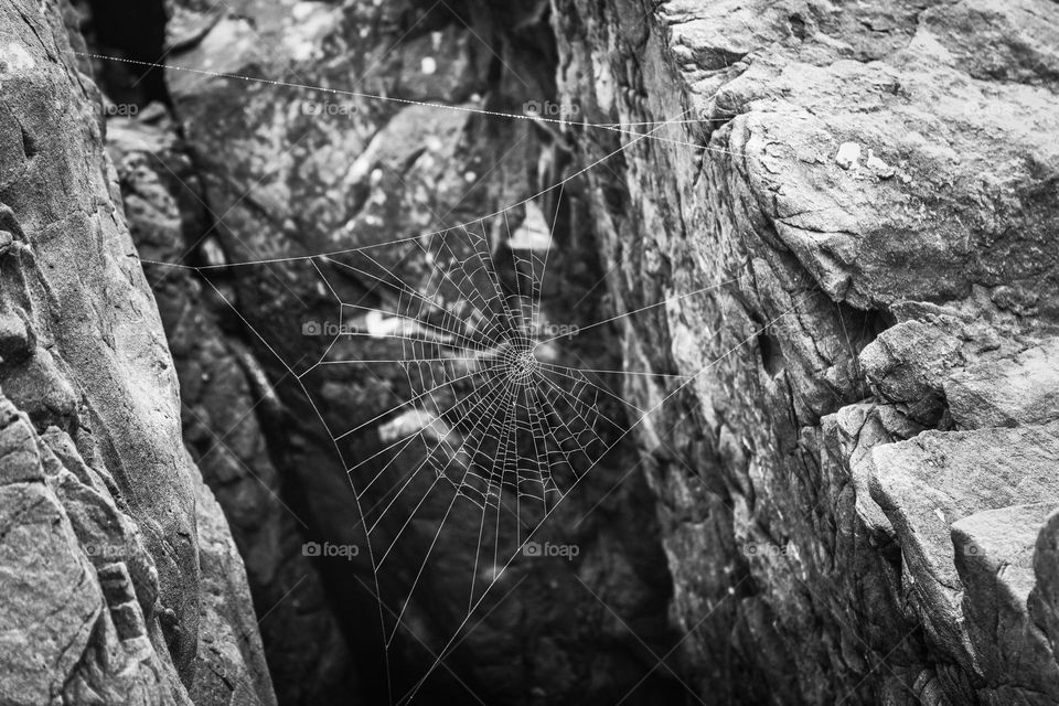 Black and white close up of a spider web along the rocky shore 