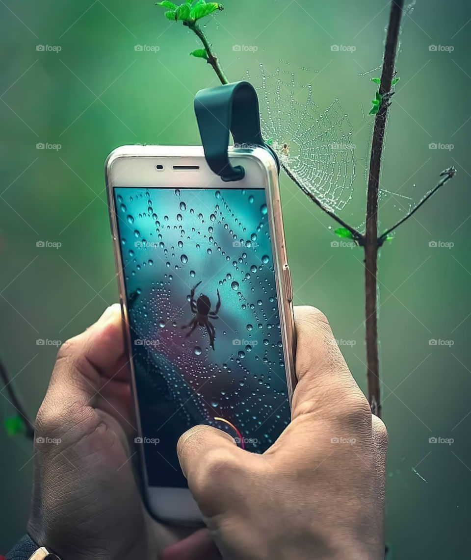 Creative Photography Shoot On Mobile Phone