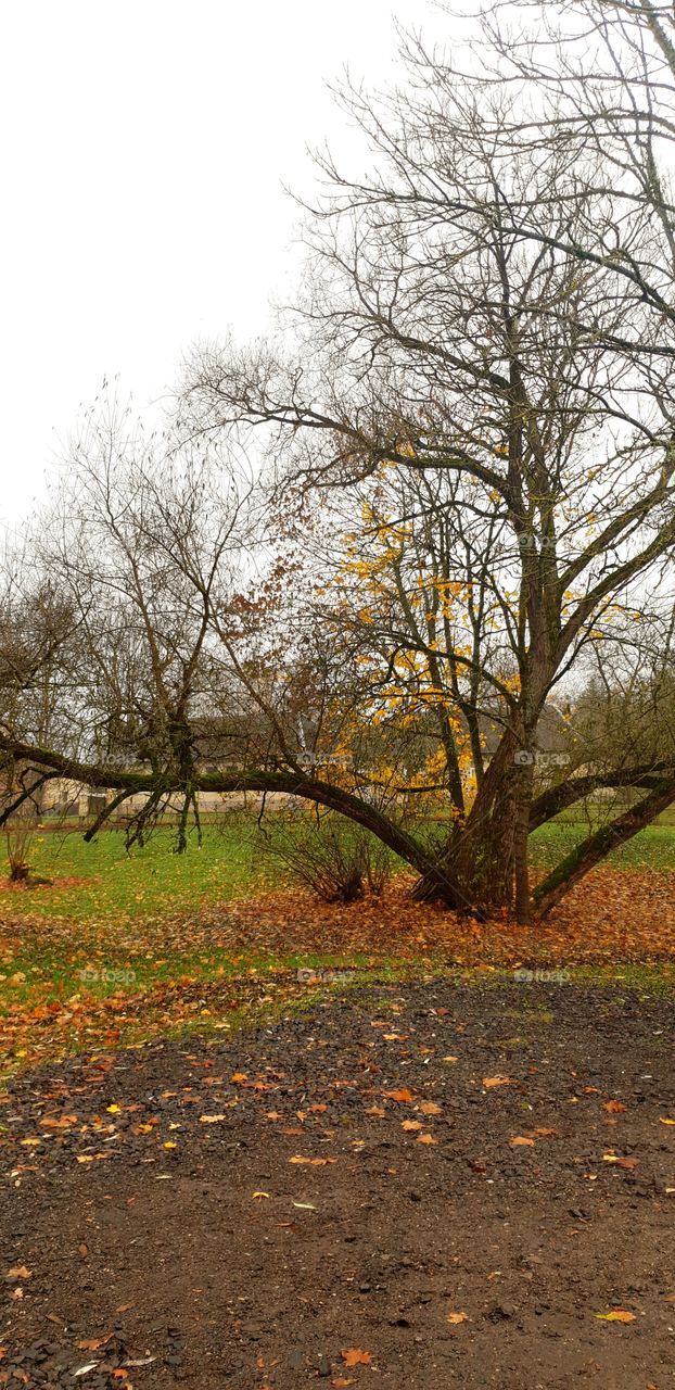 welcome to beautiful Lithuania