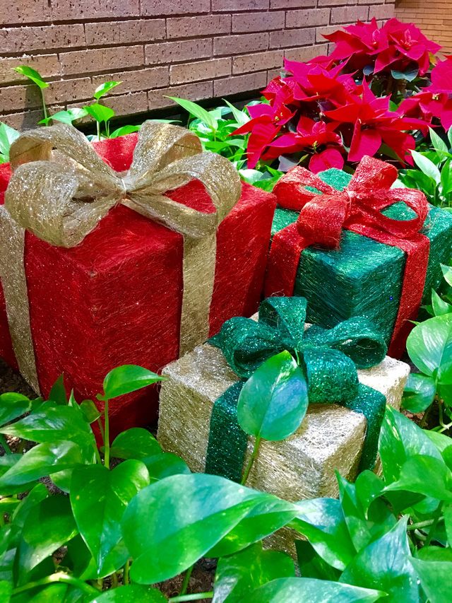 Presents in the bushes