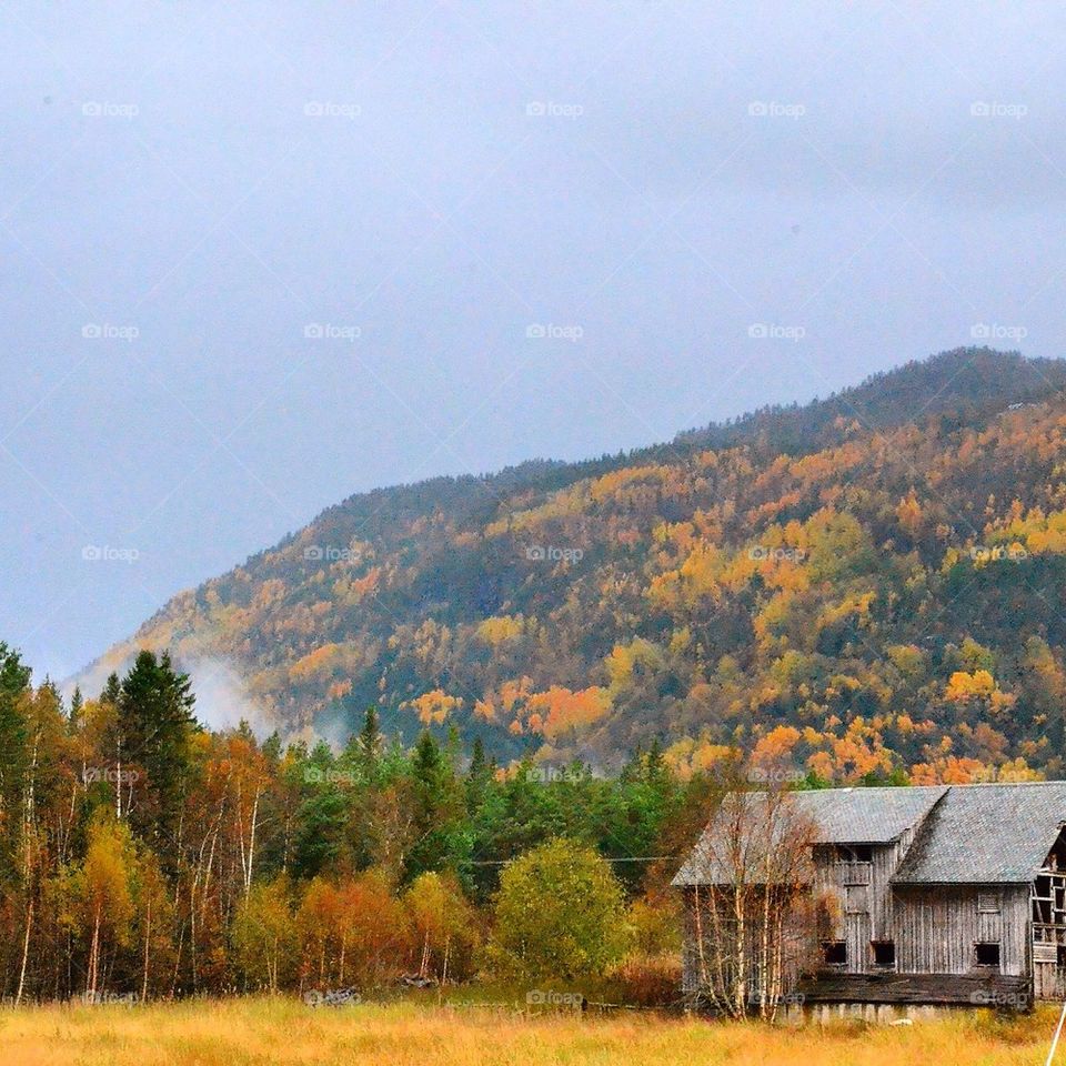 Autumn in Norway