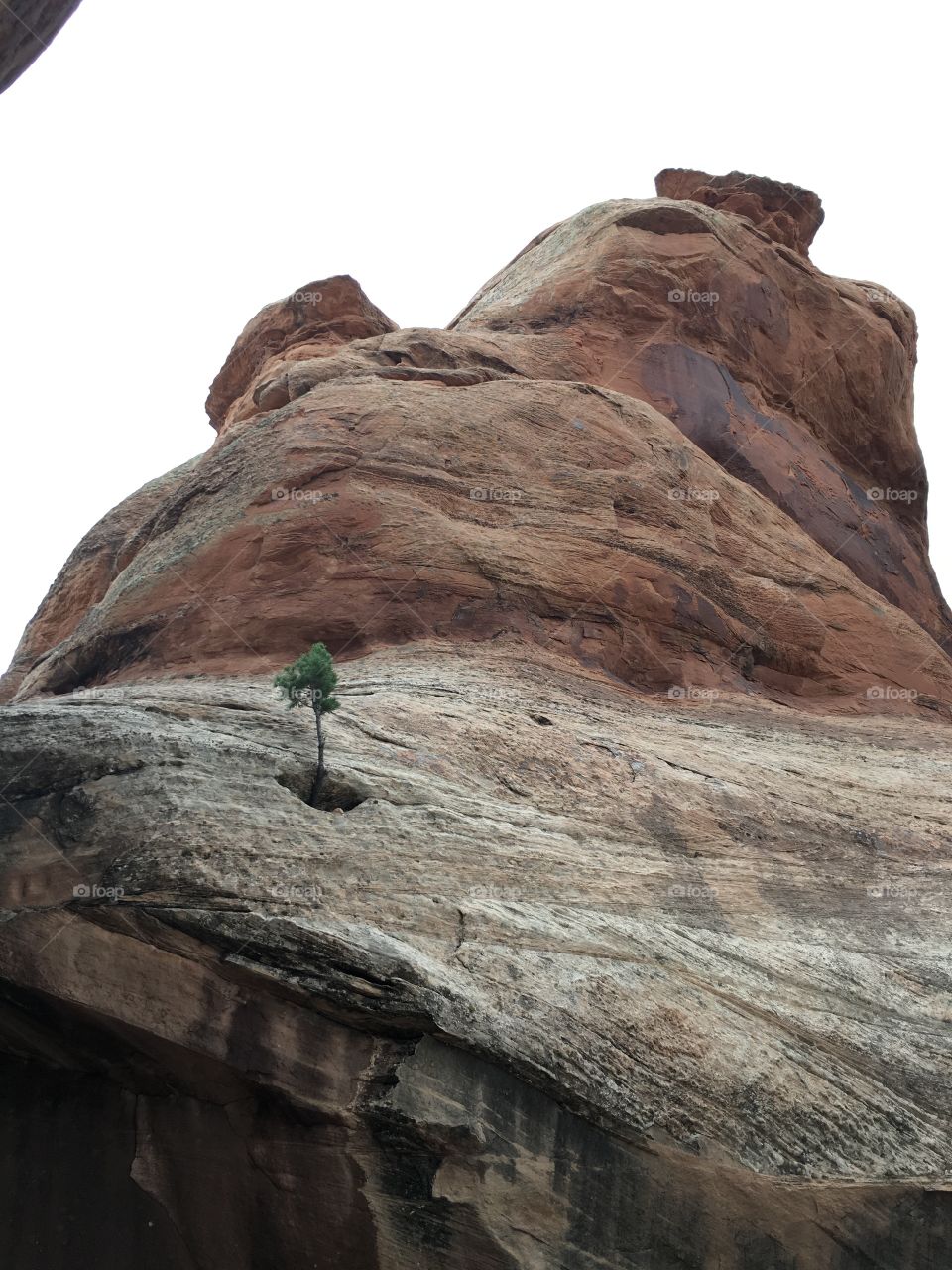 Devil's Kitchen
Colorado national monument 
