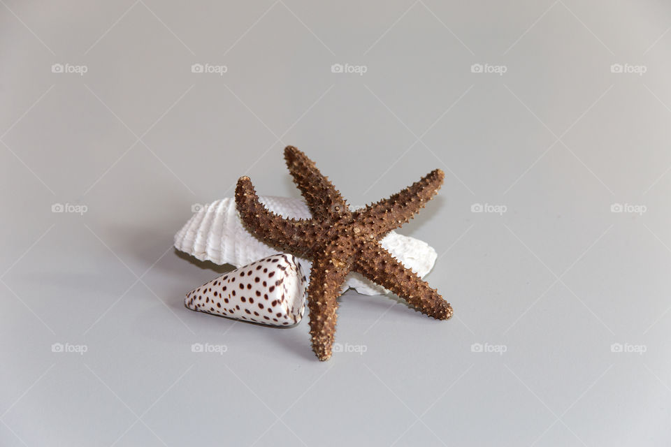 Starfish