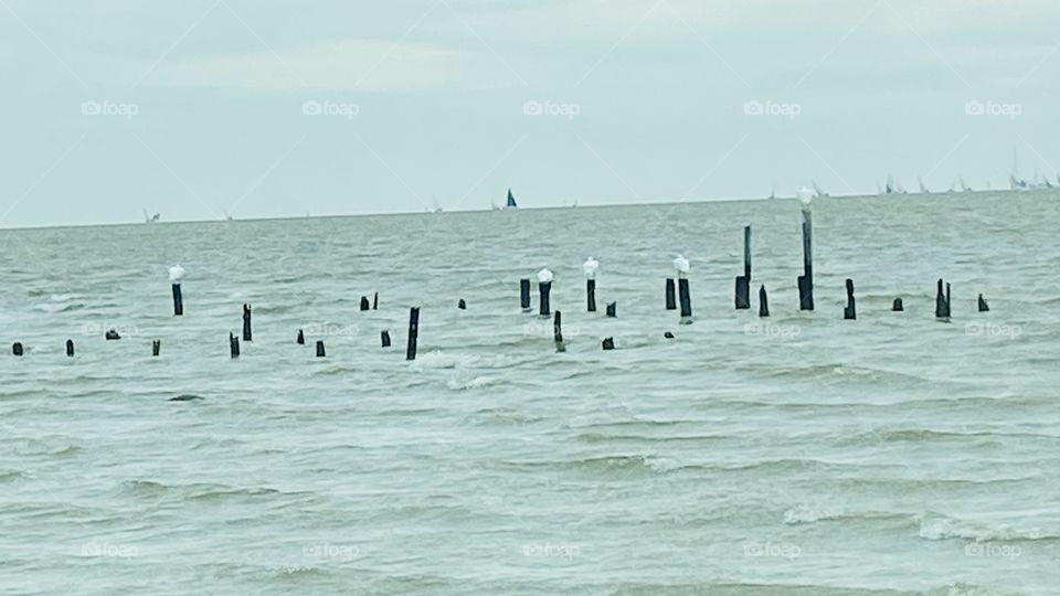 Famous Galveston Bay encompasses Galveston, Port Bolivar, north Western Shoreline From Texas City, San Leon, backing, bay view, Kemah, Seabrook, Shoreacers, Laporte,Baytown, Houston Ship Channel.