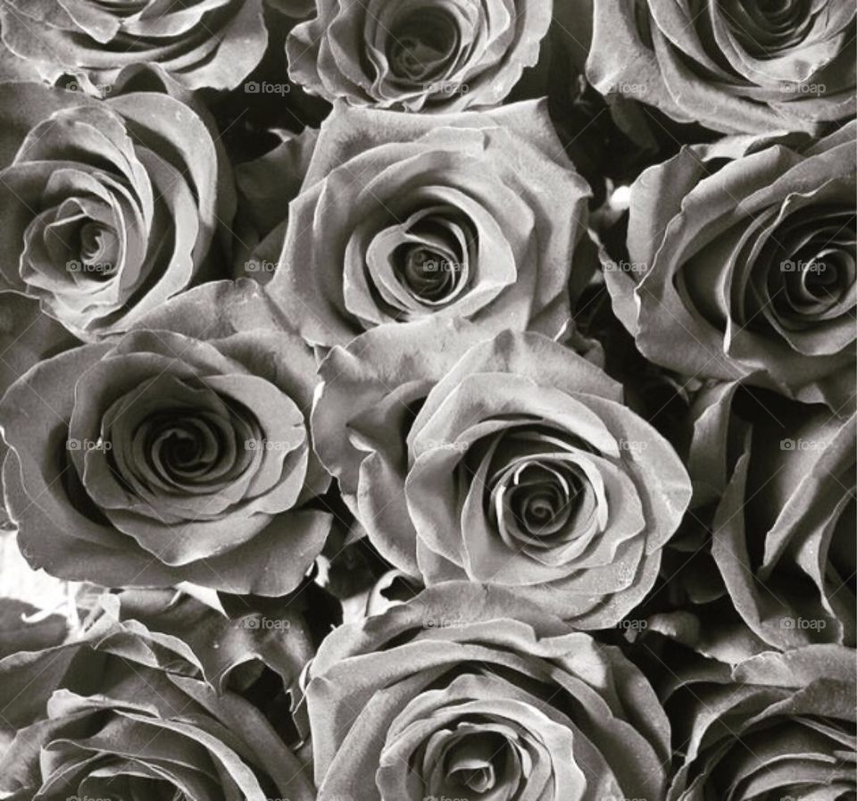 A stack of roses in grayscale 