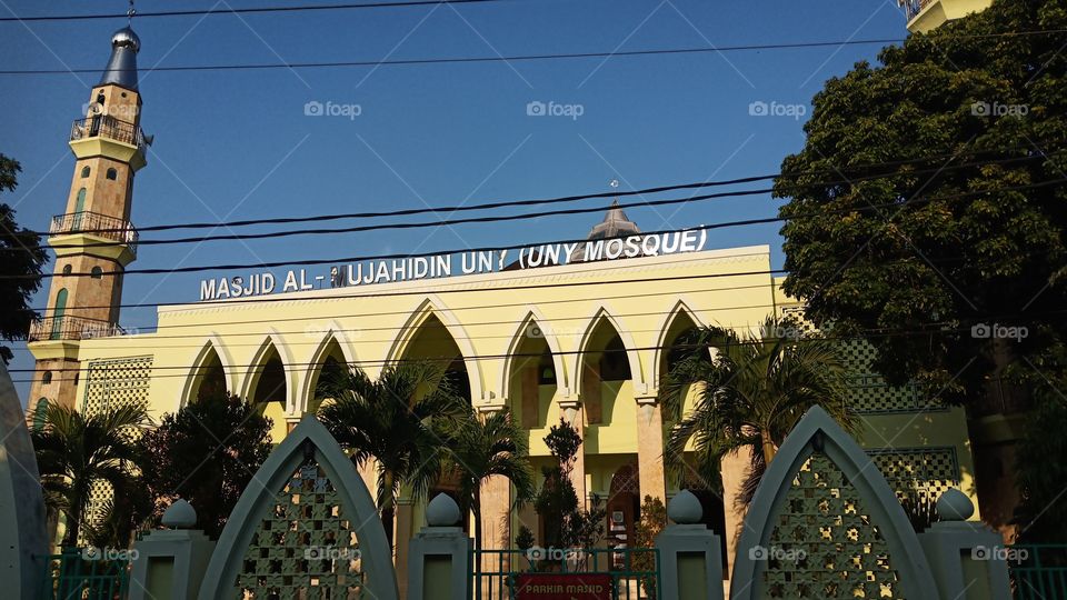 Mosque View