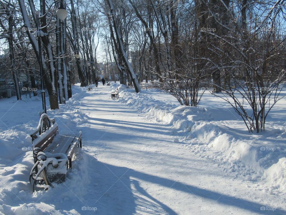 sunny winter day in the city, walk in the city park, benches in the snow