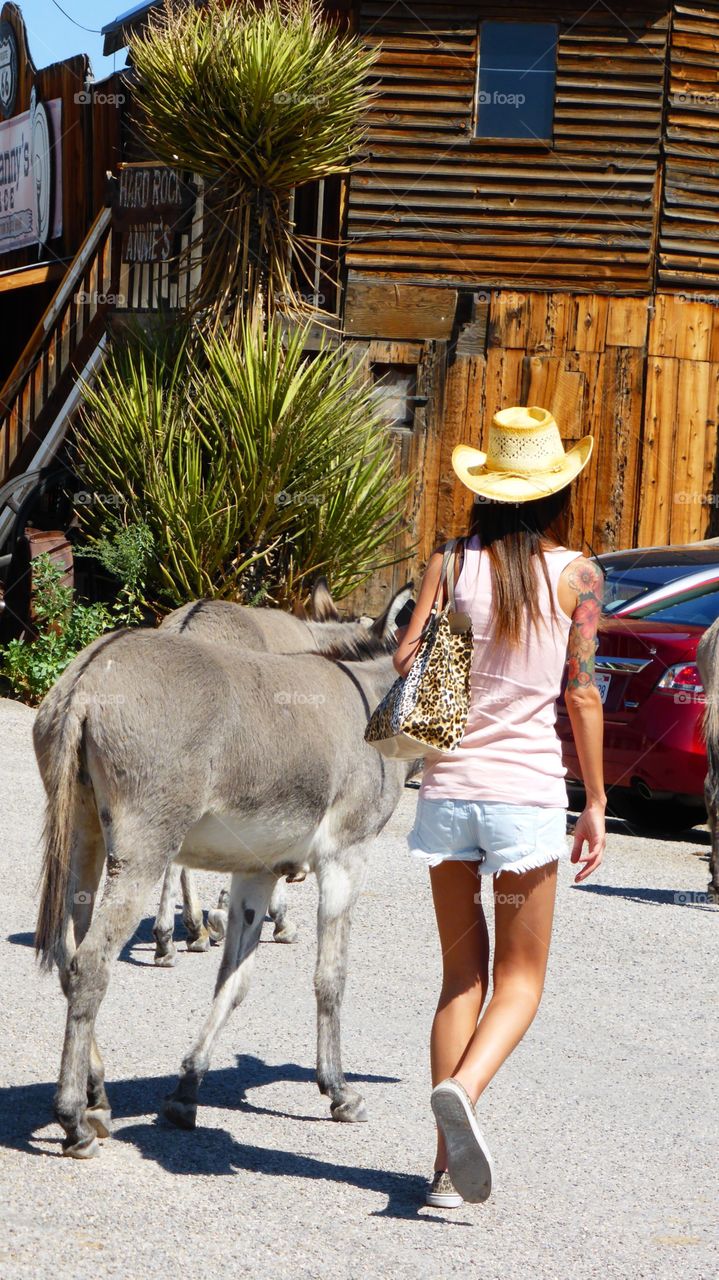 Woman and donkey. Woman and donkey at Oatman