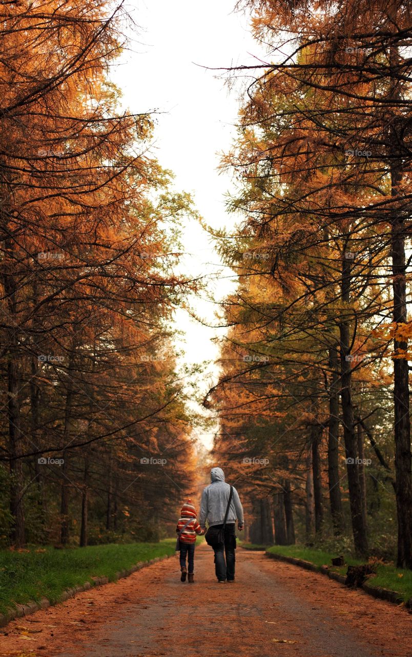 Dad and daughter are walking in the autumn botanical garden