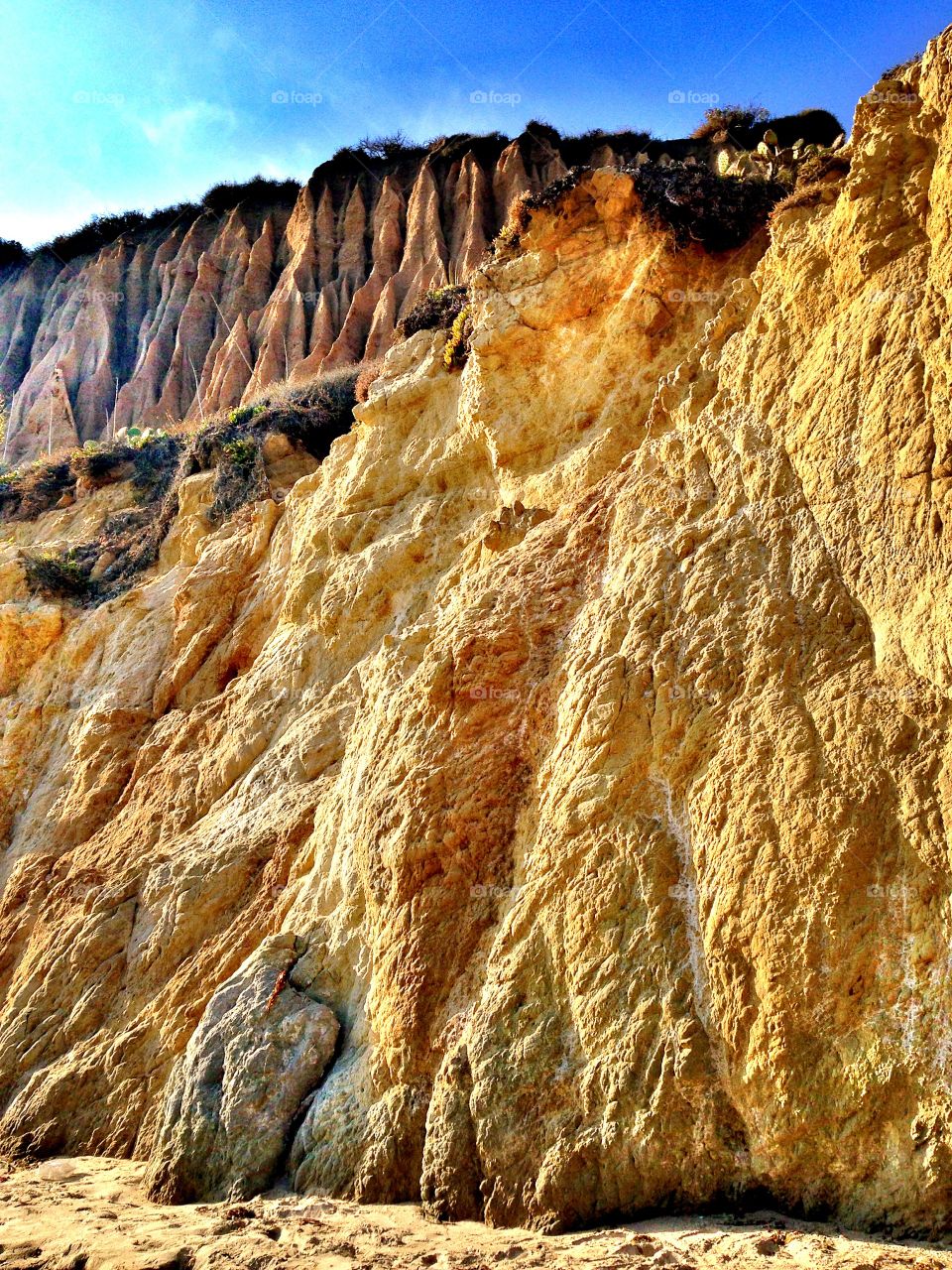 On the cliffs 