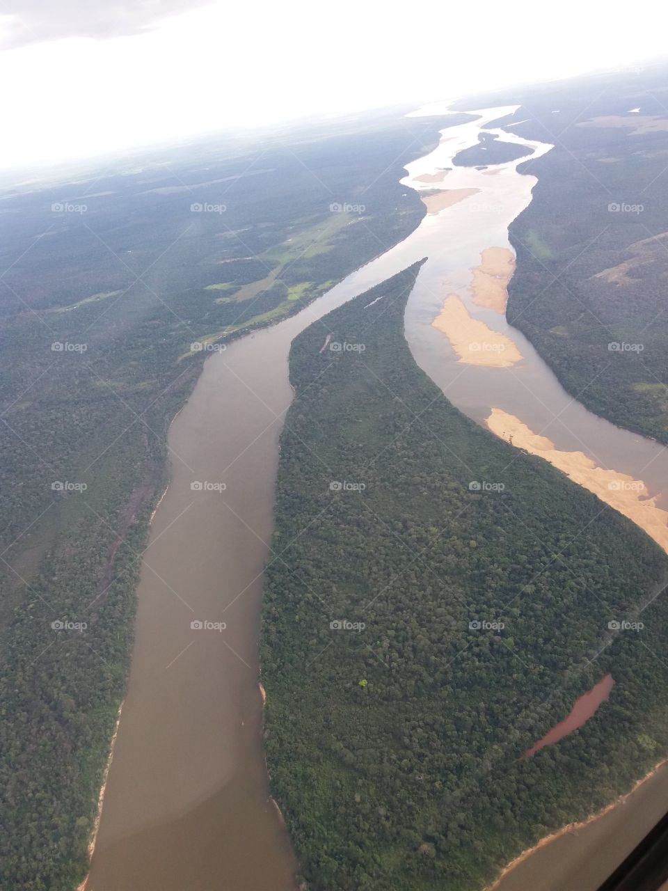 a river into the Amazon rainforest