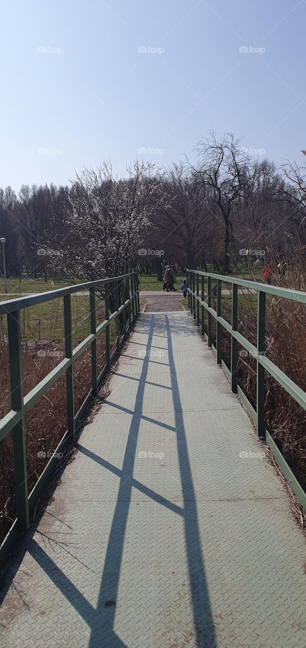 Bridge in Tabacariei Park