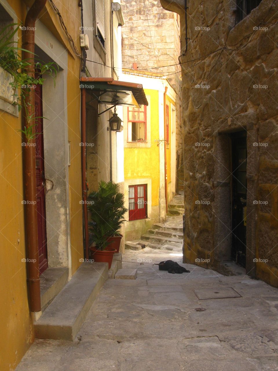 Street in Porto in Portugal
