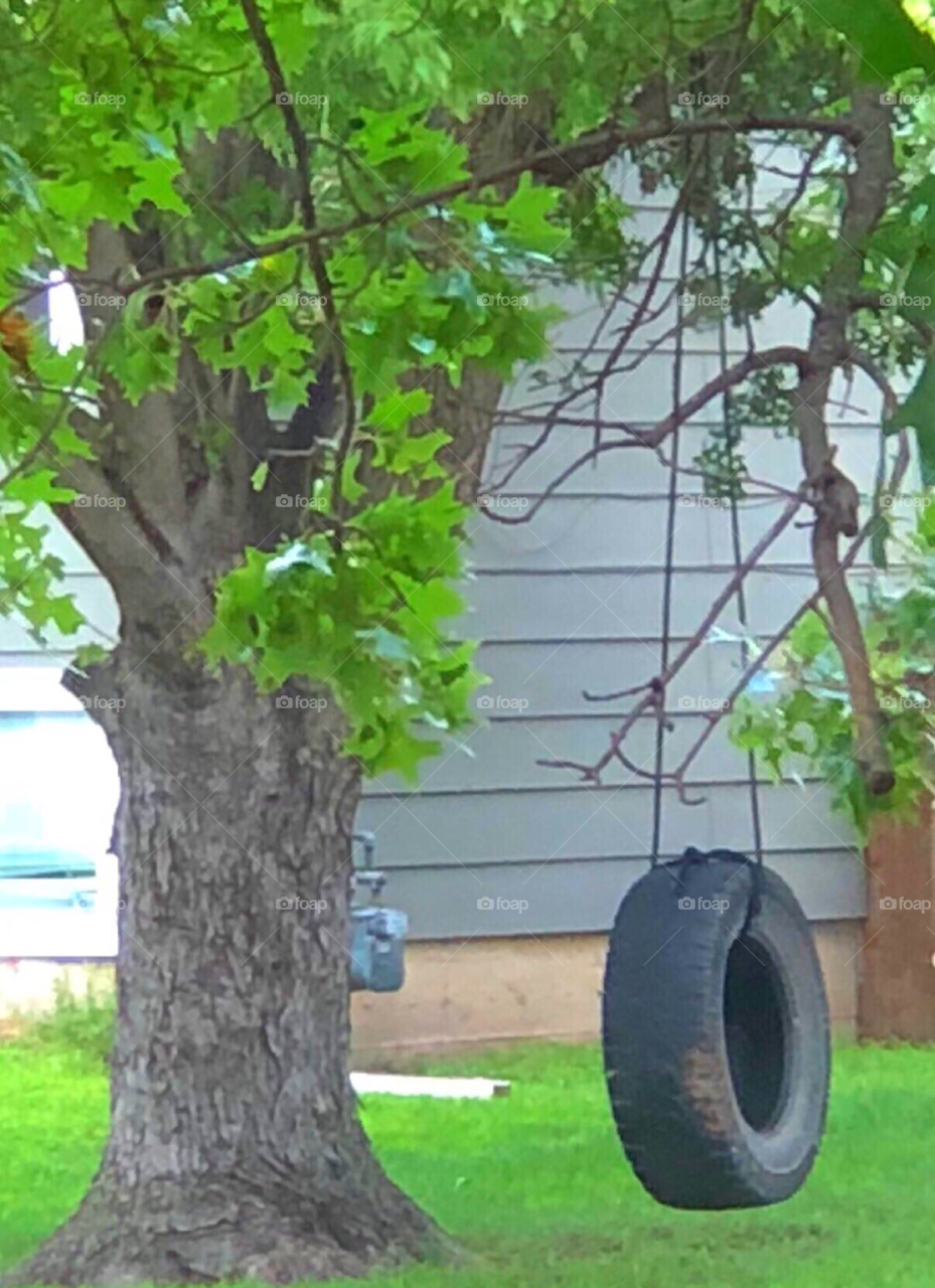 Tire swing in a yard