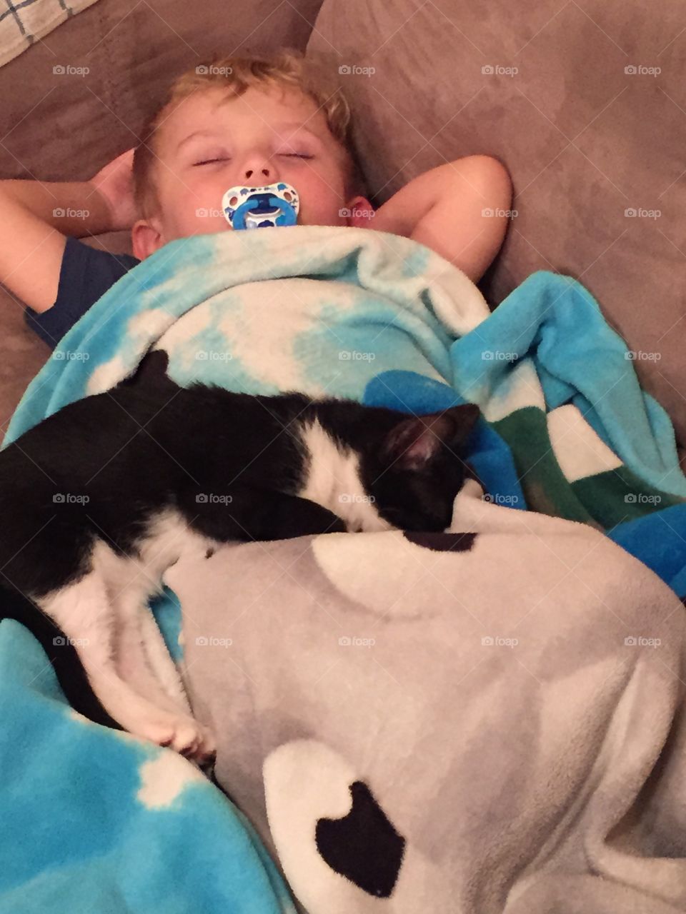My nephew and our new kitten taking a nap together.