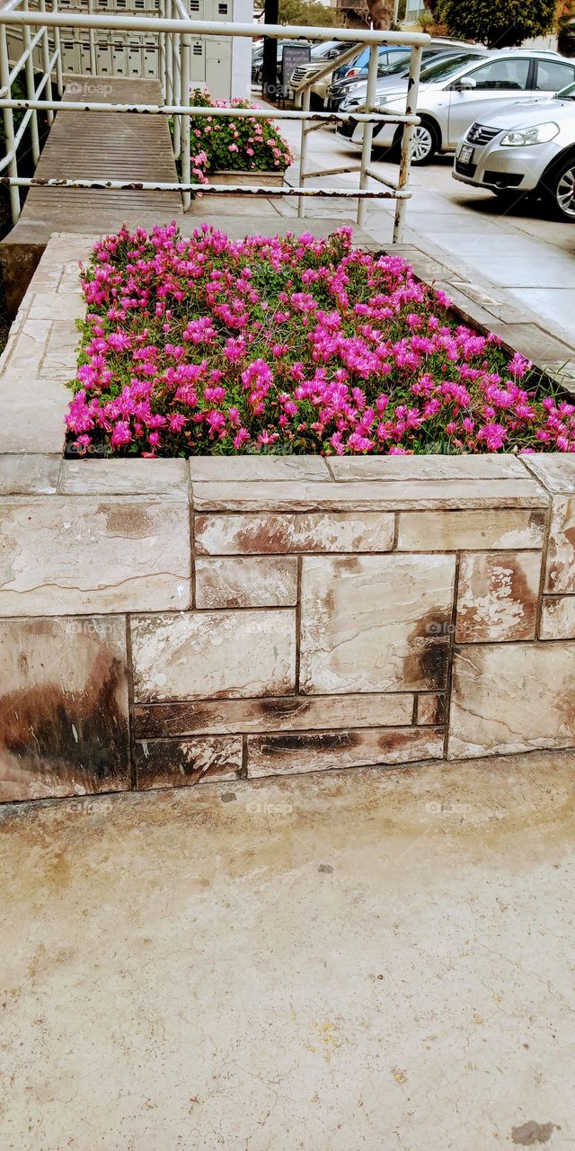 Singular and beautiful