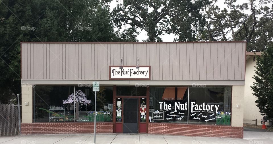 nut factory