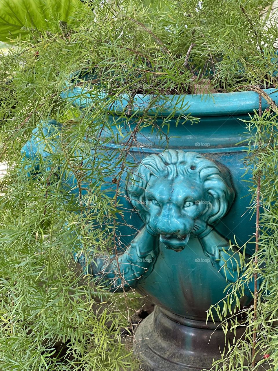 Green plant inside a green turquoise glazed ceramic vase with lion head decoration 