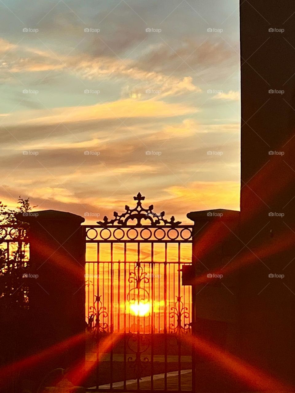 Sunset sky through garden fence