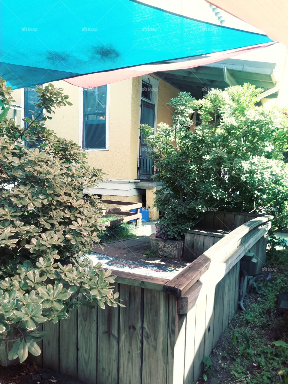 India House Commons 1